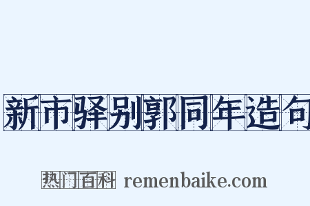 新市驿别郭同年造句是什么意思的图片